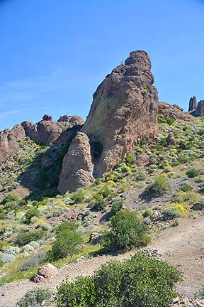 McDowell Mountain Regional Park, February 12, 2015